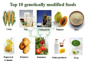 綠色有機(jī)食品 健康與環(huán)境雙贏的選擇