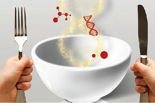 轉(zhuǎn)基因食品與日用百貨 恐懼背后的真相與反思